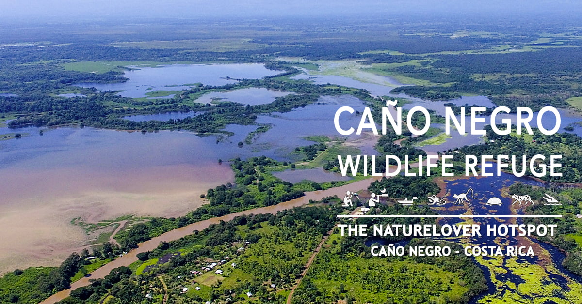 The Original Caño Negro Wildlife Refuge